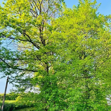 Waldblick Apartmán Kaufungen