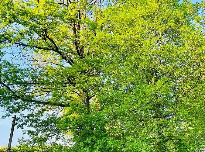 Waldblick דירה Kaufungen